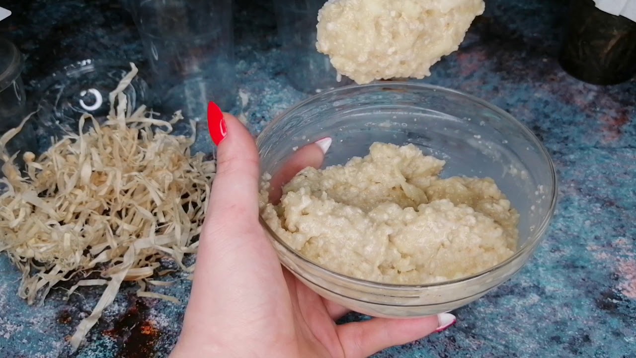 Jak założyć hodowle muszek owocówek? Jak zrobić pożywkę dla much owocowych? Friut fly food recipe