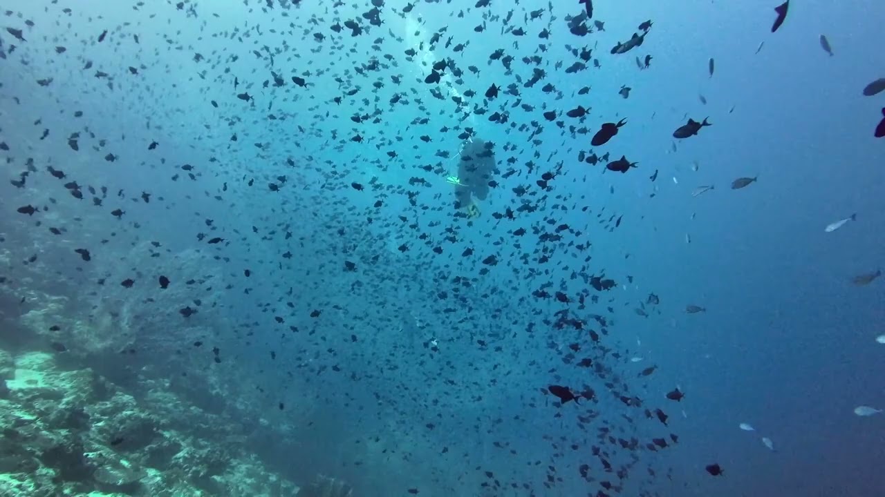 Dive Site 