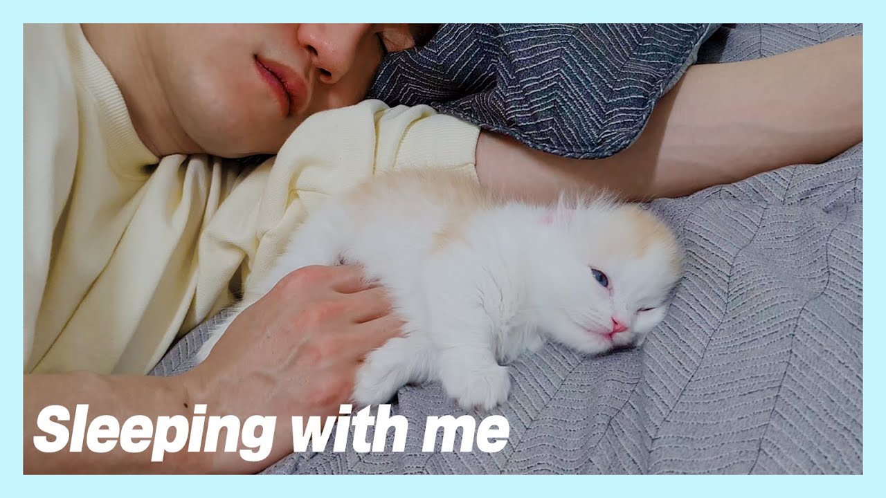 When My Baby Cat Thinks I'm his Mommy...!