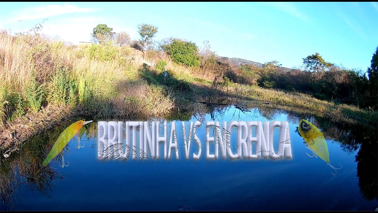 ISCA BRUTINHA VS ENCRENCA