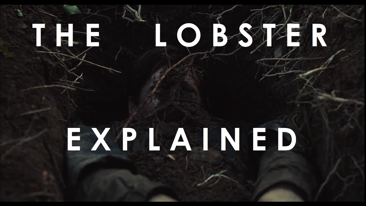 Объяснение «Лобстера» (2015)