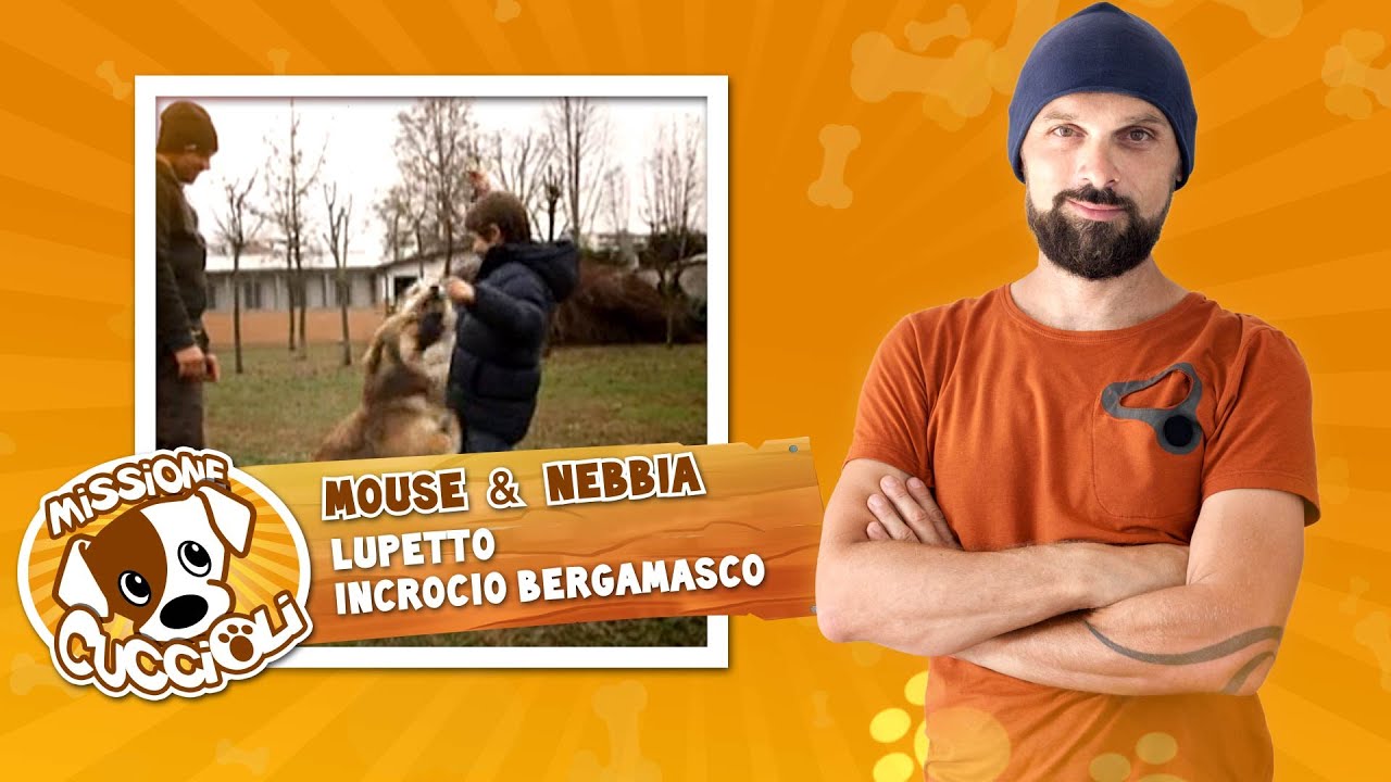 MISSIONE CUCCIOLI Stagione 1 con Simone Dalla Valle - Mouse, lupetto e Nebbia, incrocio bergamasco
