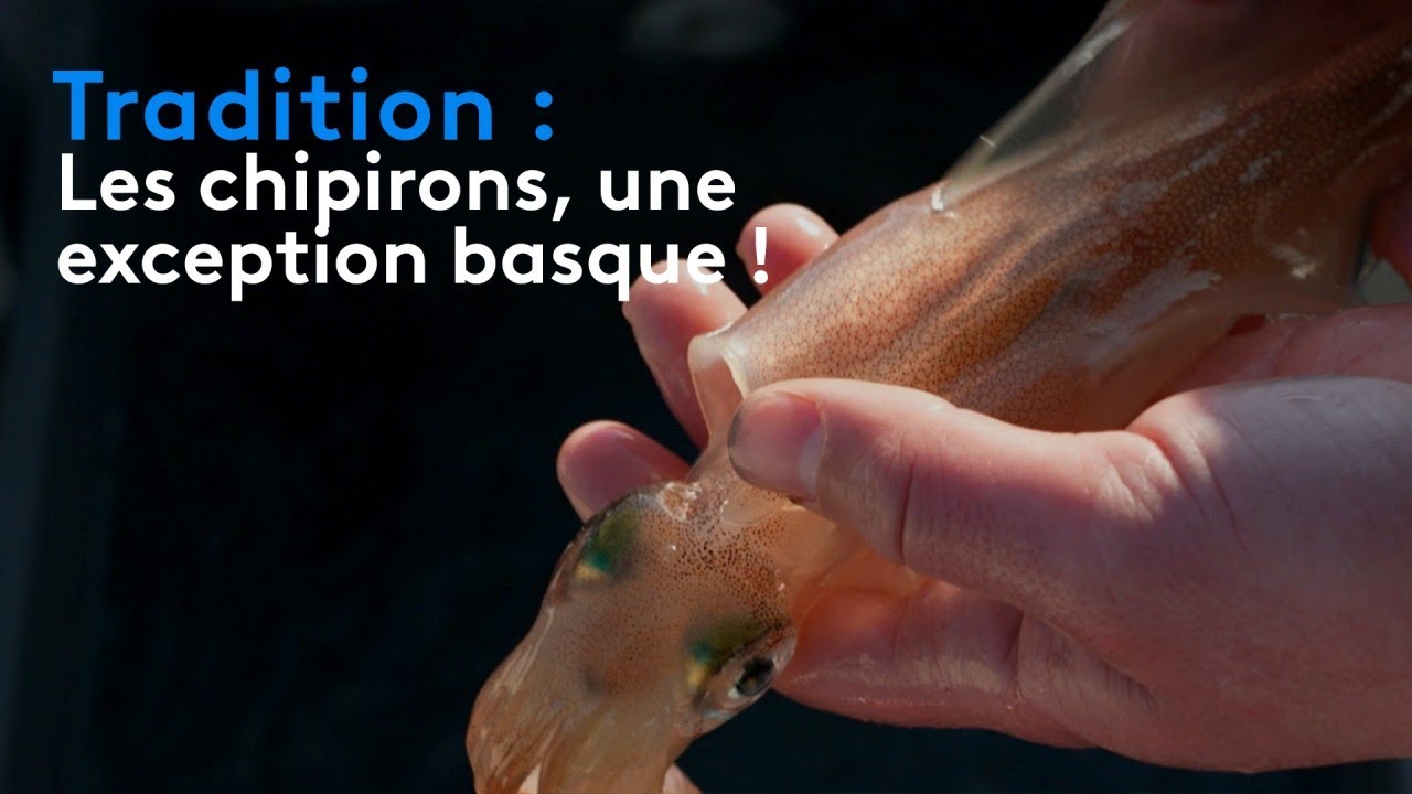 Tradition : les chipirons, une exception basque !