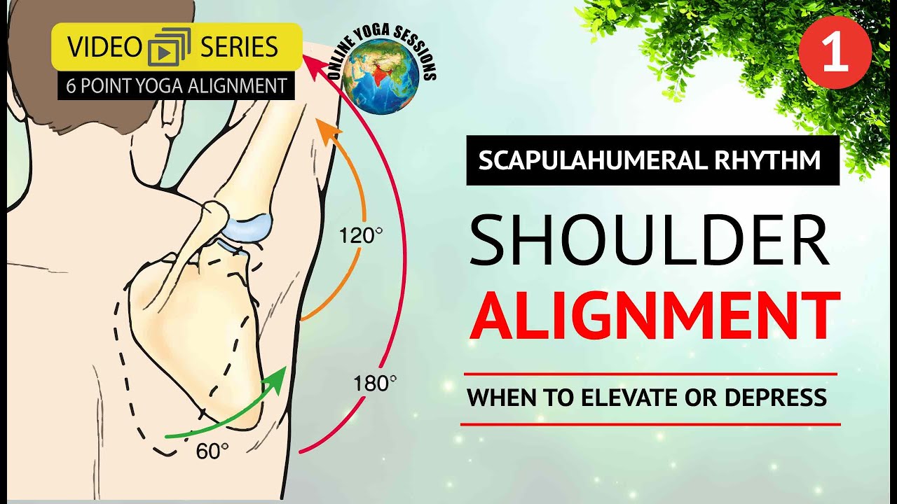 Yoga Shoulder Alignment | Realign your shoulders | Part 1 | YCB Syllabus | Yoga Anatomy Course