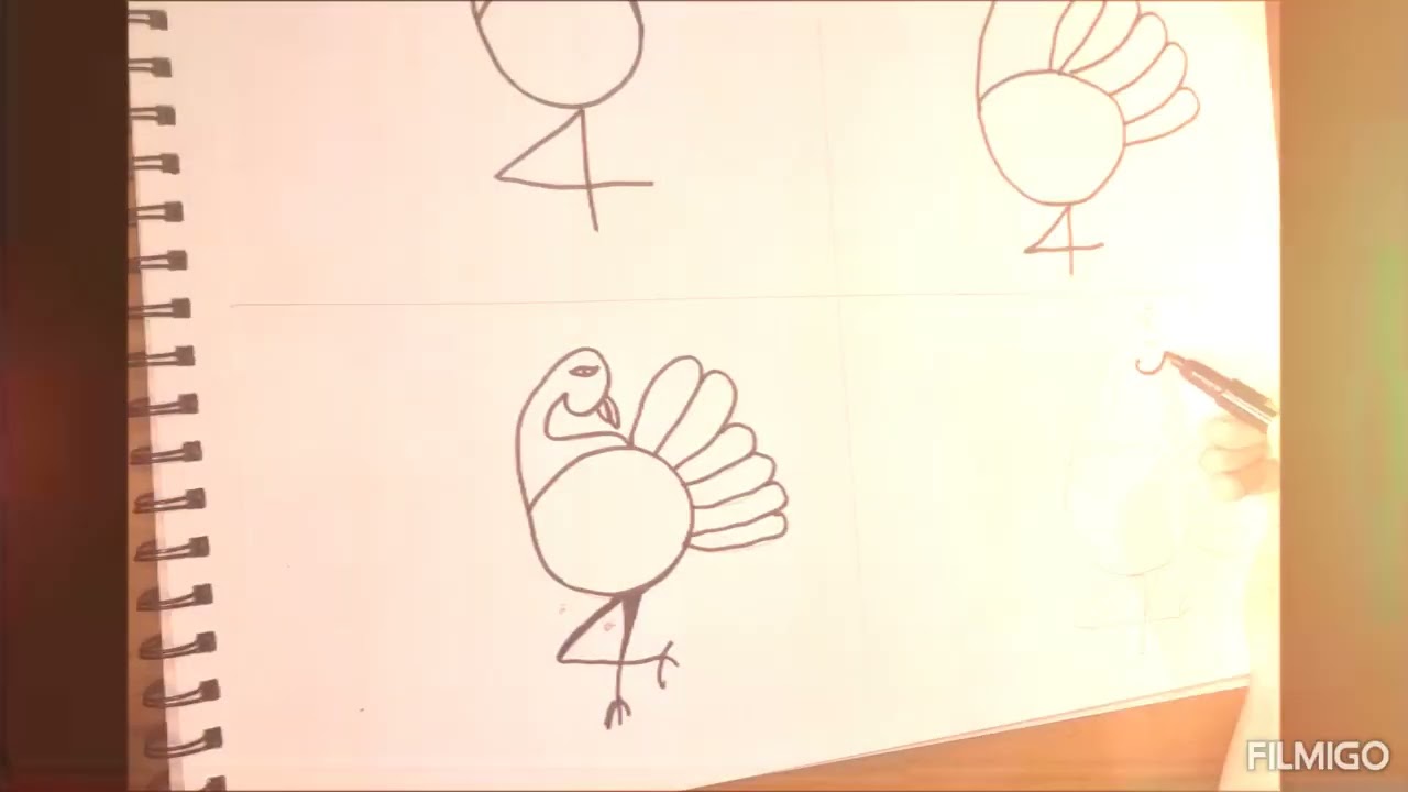 #peacock
