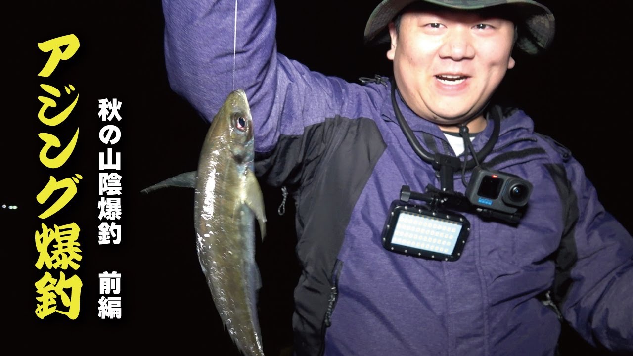アジング鬼爆！秋の山陰爆釣【前編】島根県浜田市で久しぶりのアジングしたら鯵が爆釣だった！