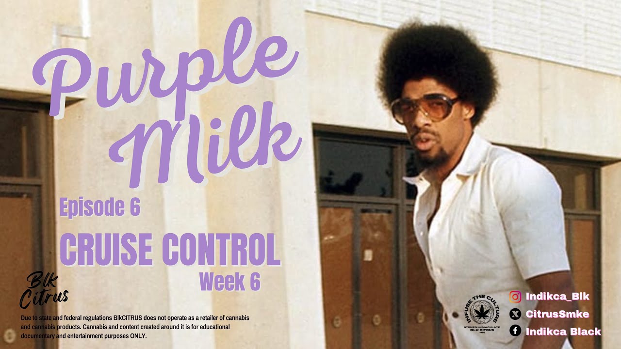 CRUISE CONTROL | WK6 PURPLE MILK BY COMPOUND GENETICS