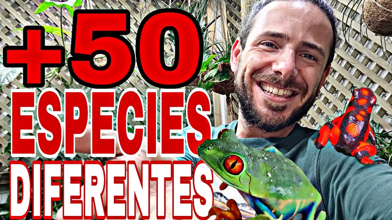 MAS de 50 ESPECIES ALUCINANTES! Ranas, Lagartos, Serpientes, Tortugas, Tarantulas, Tritones... 😱🦎🐢🐍