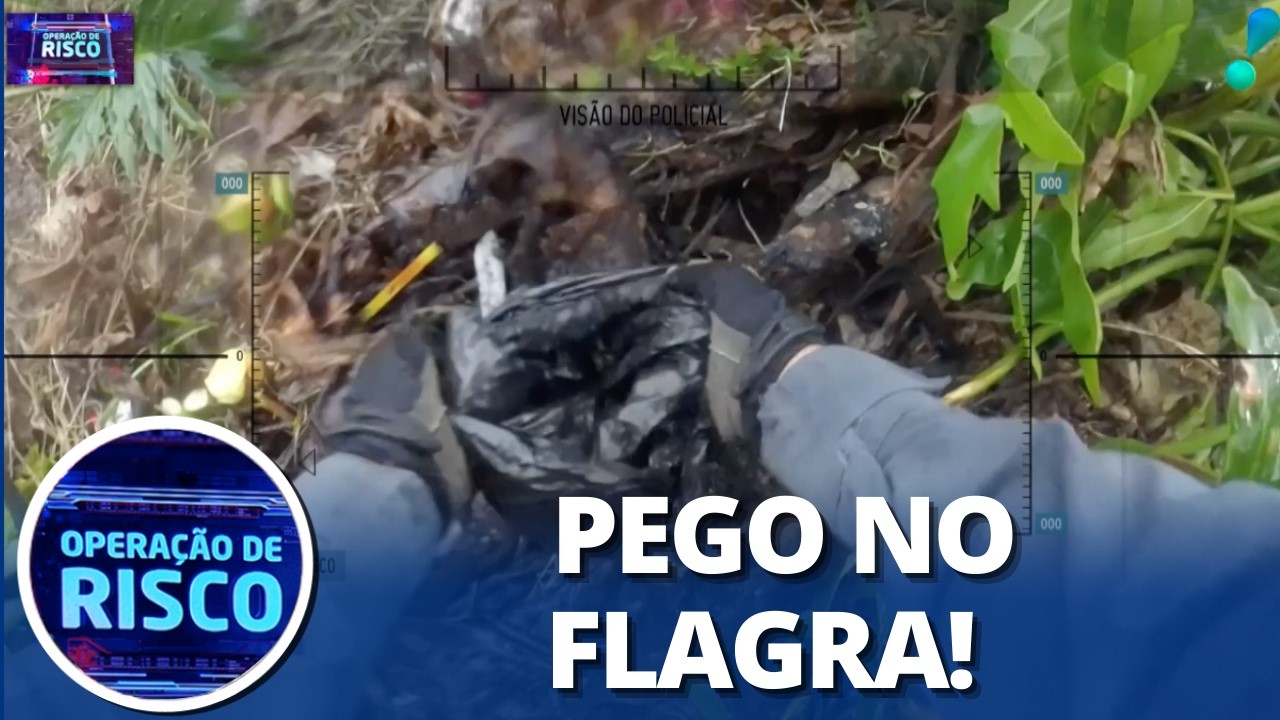 Polícia prende traficante que escondia drogas dentro de plantas