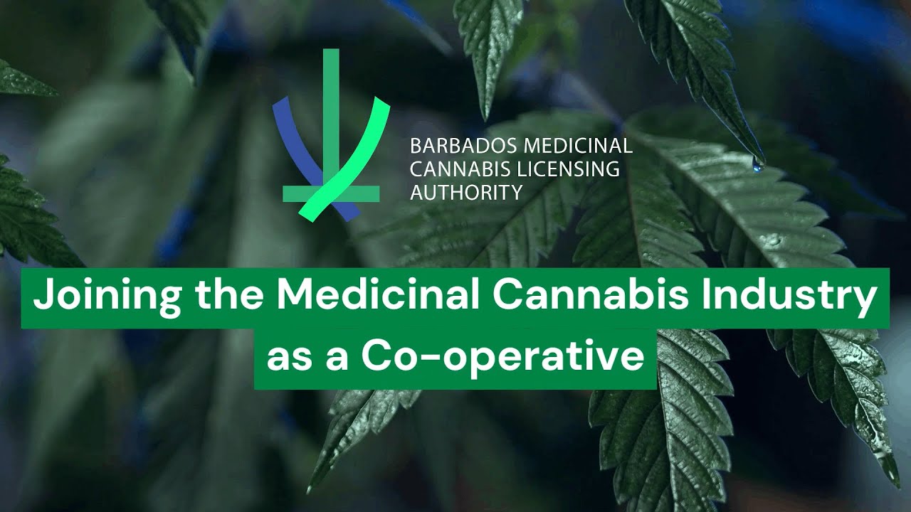 Joining the Medicinal Cannabis Industry as a Co-operative