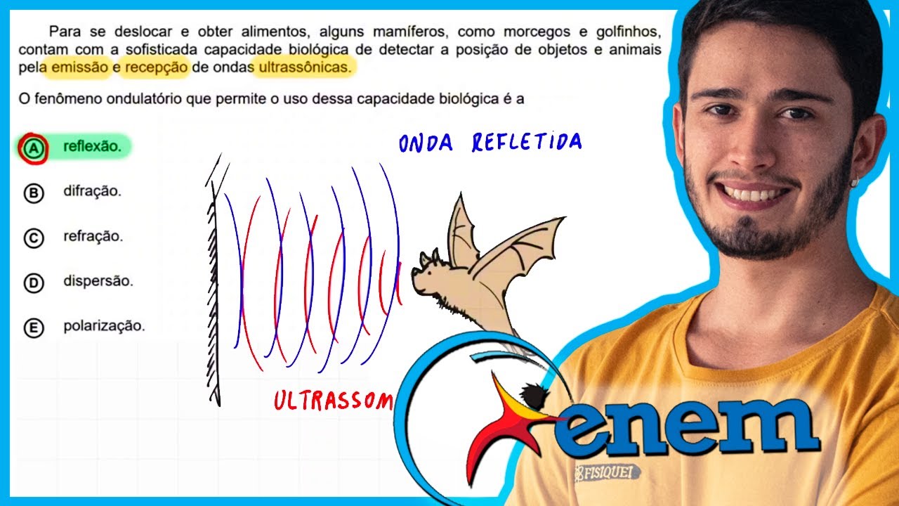 ENEM 2020 Digital - Para se deslocar e obter alimentos, alguns mam&iacute;feros, como morcegos e golfinhos,