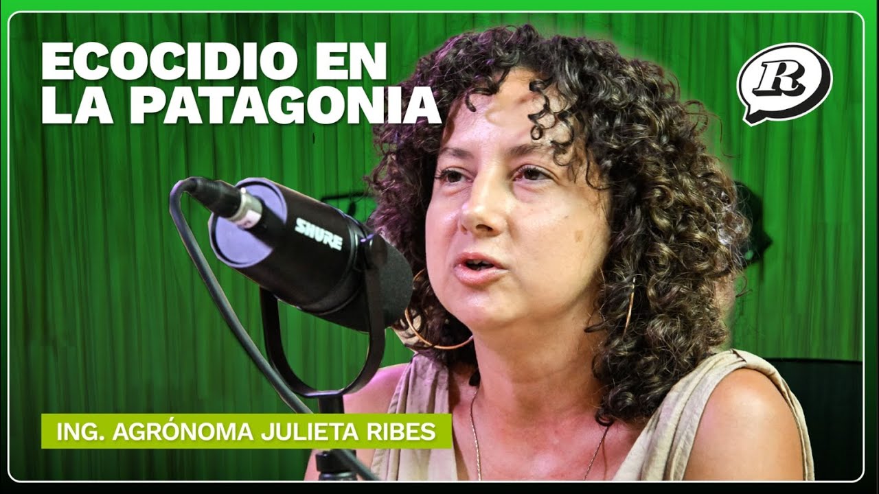 Julieta Ribes: Incendios en la Patagonia y el cambio climático. #RandomEnElAire