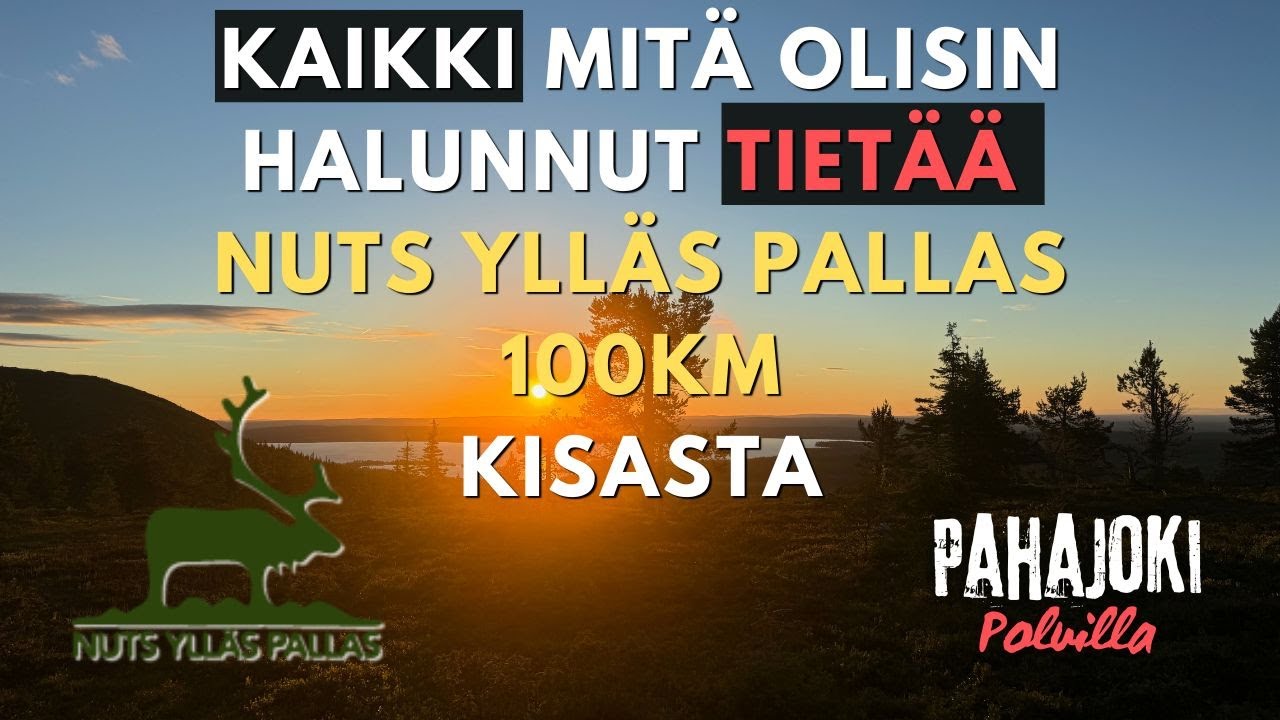 Kaikki mitä olisin halunnut tietää NUTS Ylläs Pallas 100km kisasta