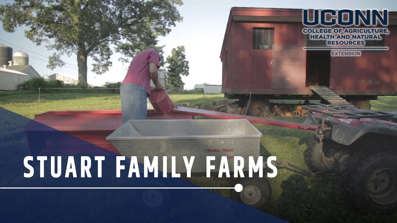 Stuart Family Farm