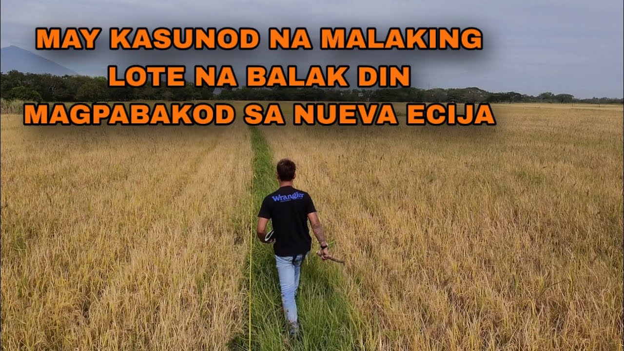 MALAKING LOTE BALAK DIN MAGPABAKOD SA TABI NG 3HECTAR LOTE