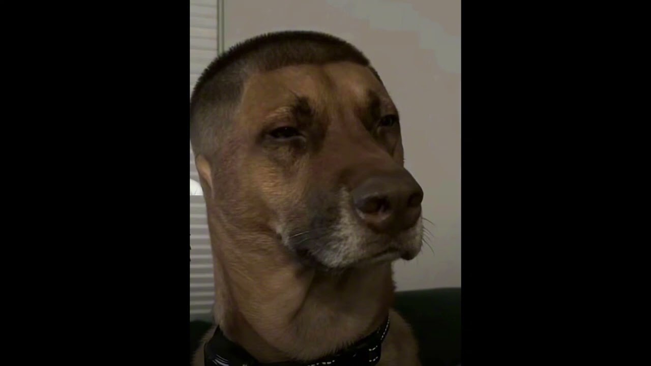 iloveuihateu.wav 