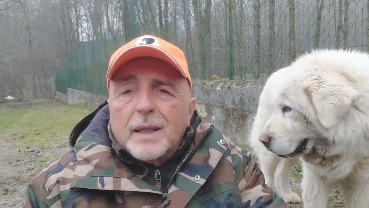 (6 di 8) - L'aggressività del cane È MOLTO IMPORTANTE per il suo equibrio di animale! 
