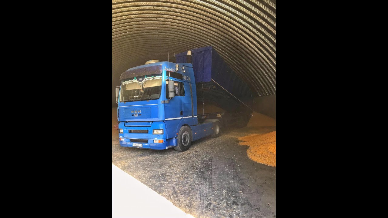 Descarcare bena cereale Porumb 2020 (Corn Unloading)🌽🌽🌽