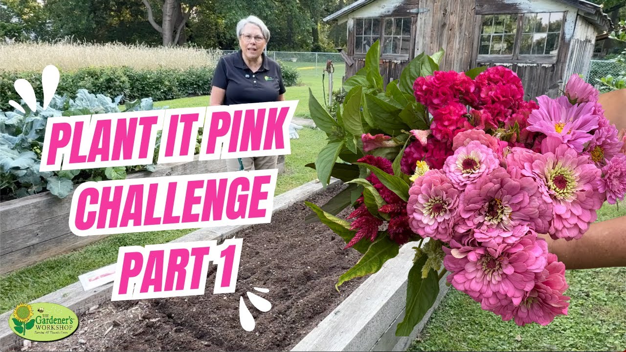 Plant It Pink Challenge Part 1