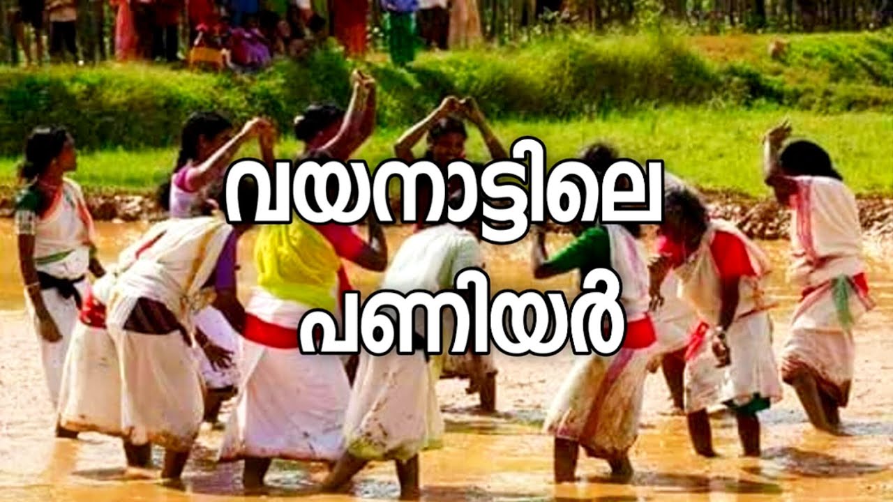 വയനാട്ടിലെ പണിയർ||  tribal mission Pathanamthitta 