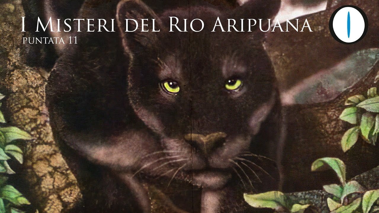 I MISTERI del RIO ARIPUANA