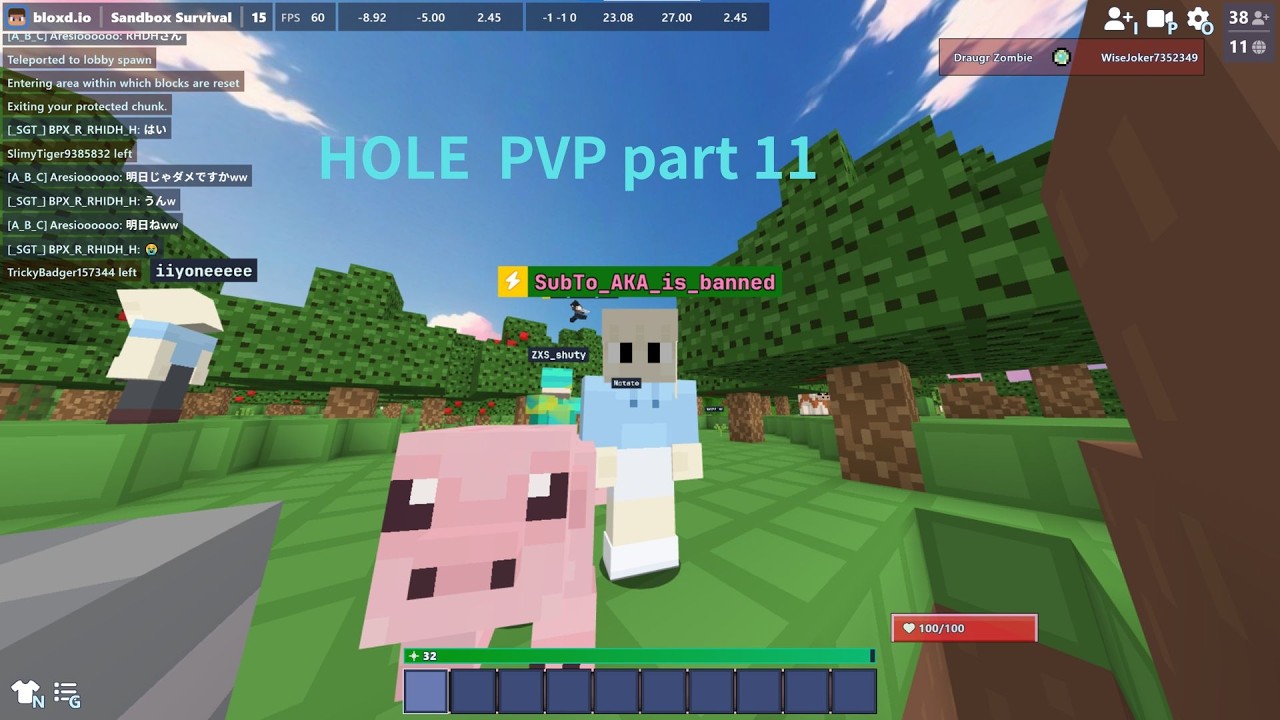 hole pvp part 11
