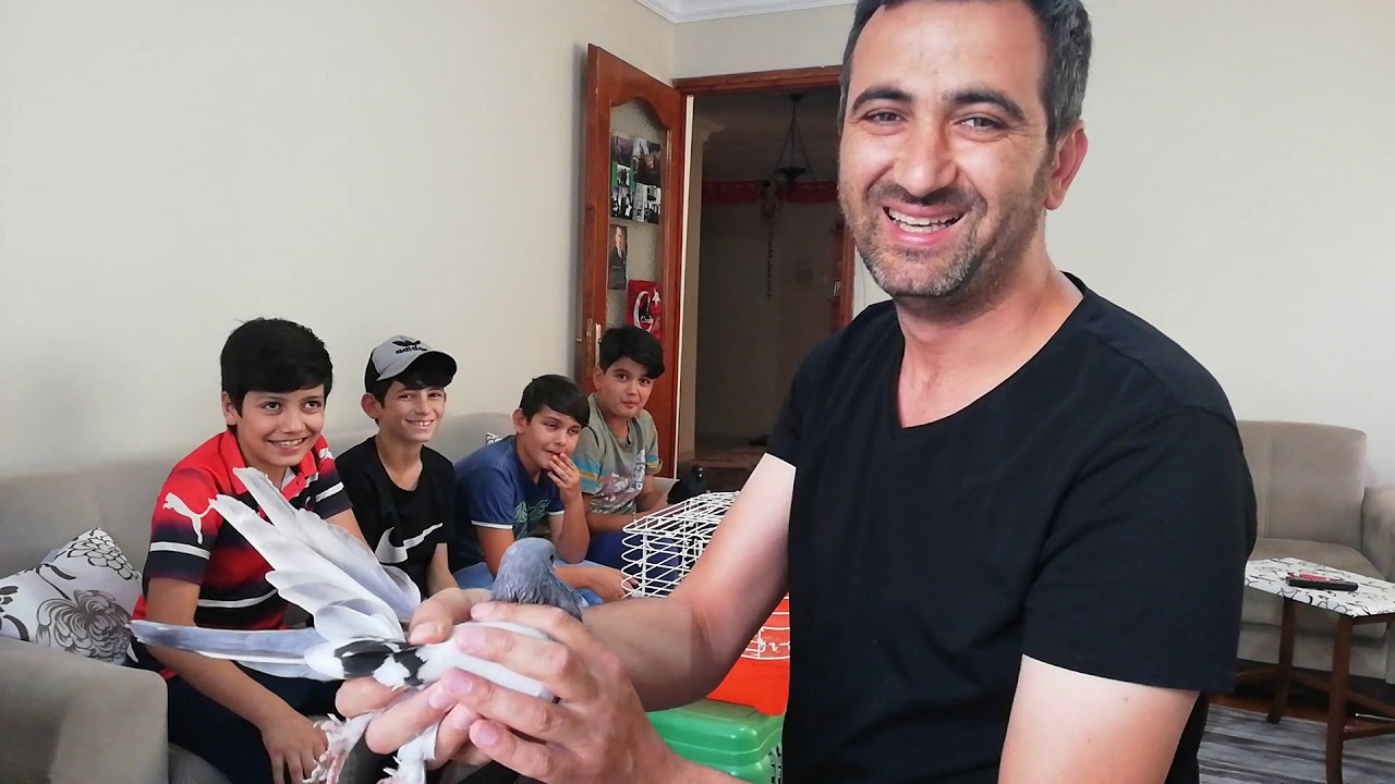 &Ccedil;ok Kral Kuşlar Hediye Ettim. Birol Karalı Ailesi &Ccedil;ok Mutlu. Sponsorumuz Levent Boztepeye Teşekk&uuml;r