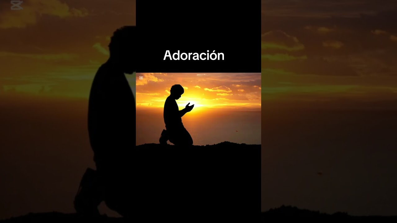 vine solamente adorarte