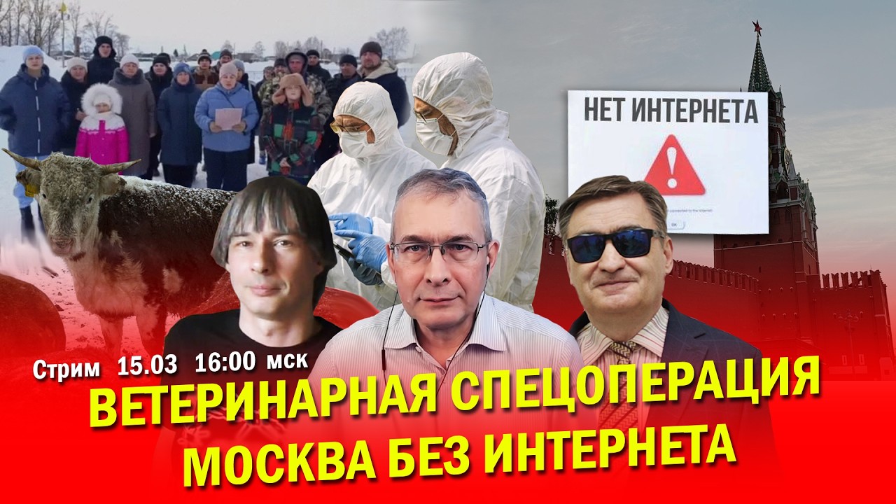 Уничтожение скота в регионах страны! Москва без интернета! Стрим/ С.Крупенько, Д.Черный, С.Новиков