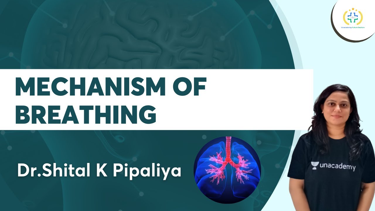 Mechanism of Breathing | Physiology | Unacademy Future Doctors | Dr. Shital