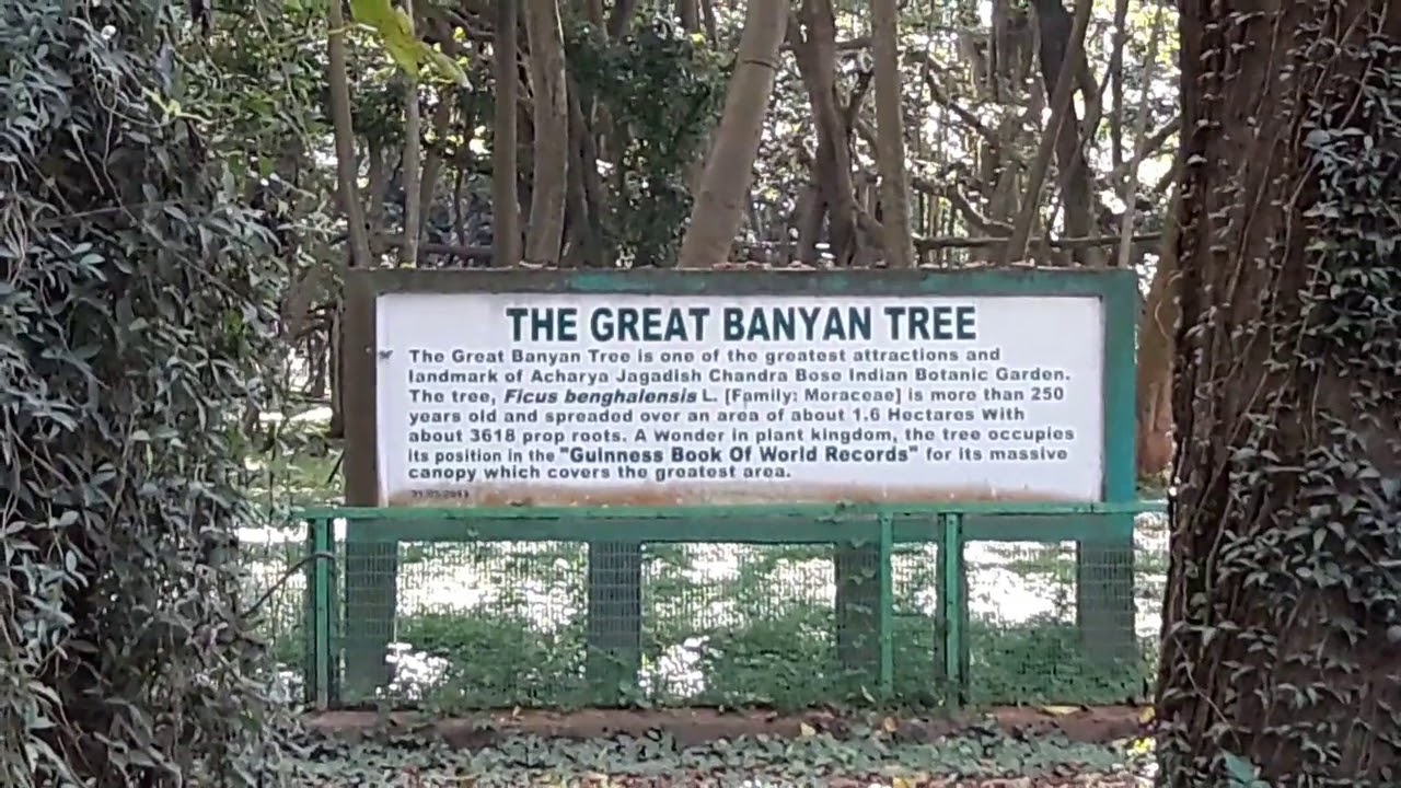 BOTANIC GARDEN Shibpur, Howrah