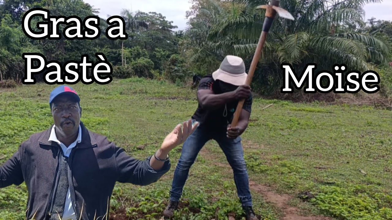 Men revolisyon agrikòl la relanse nan plèn Maribawo.