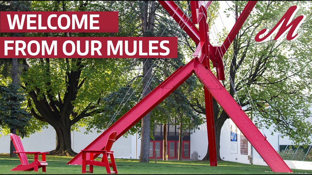 Our Mules Welcome You | Muhlenberg College