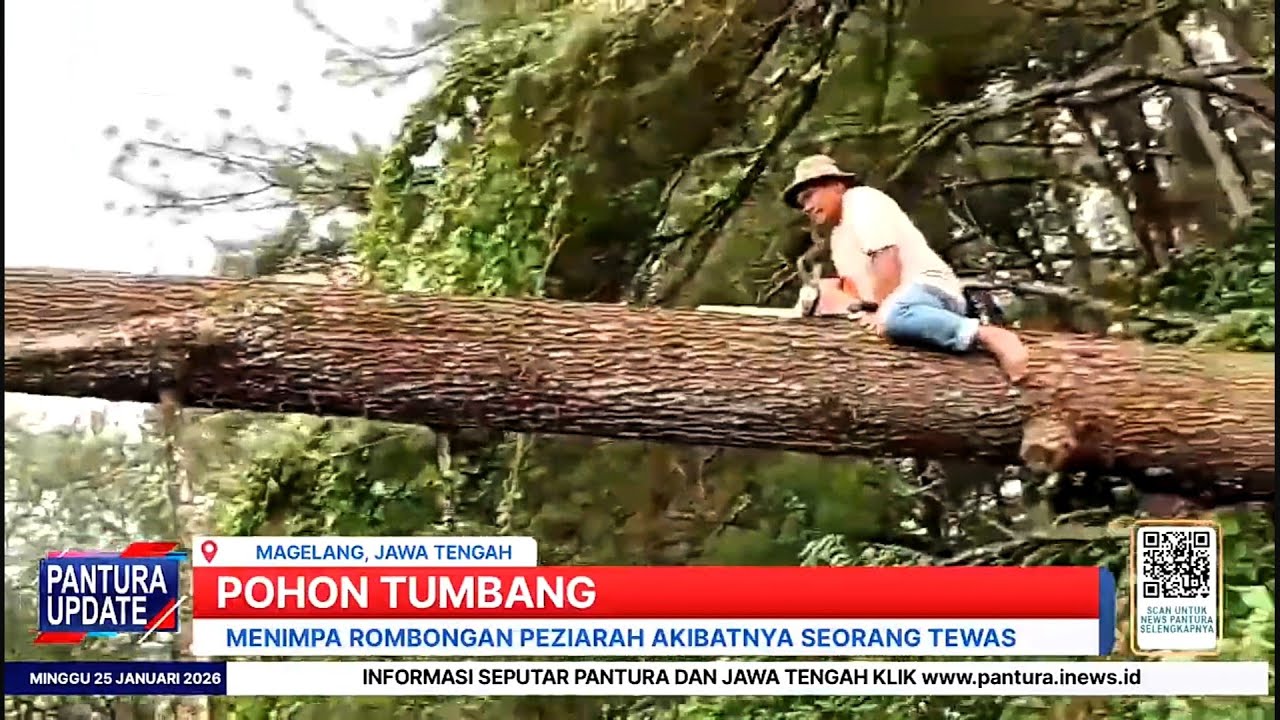 Pohon tumbang timpa peziarah di gunung tidar Magelang, seorang meninggal dunia 