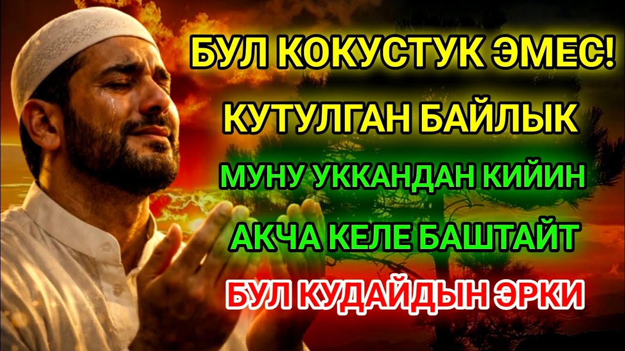 Бул Аят Миңдеген Адамдын Жашоосун Өзгөрттү! Чоң Кубанычтуу Кабар Жакындап Жатат!