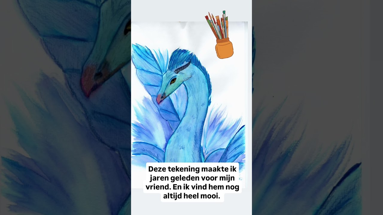 Hier ben ik nog altijd trots op