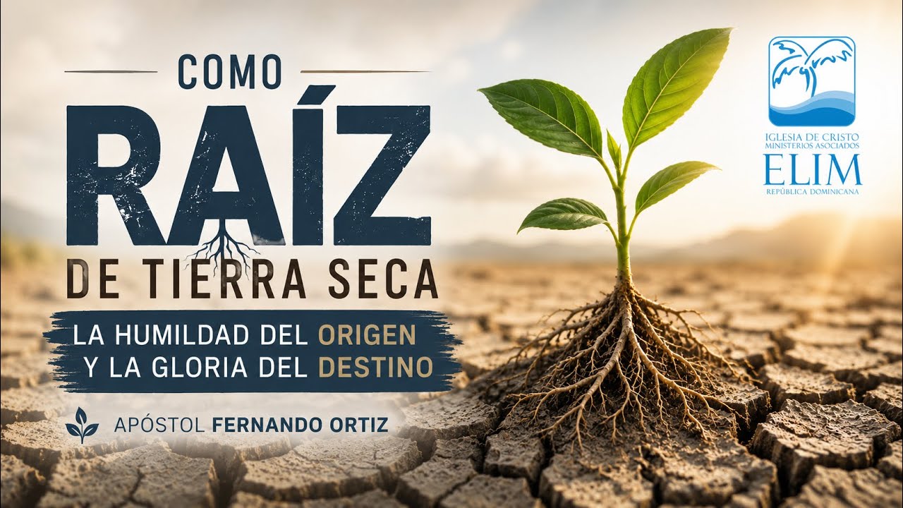 Transmisión en Vivo