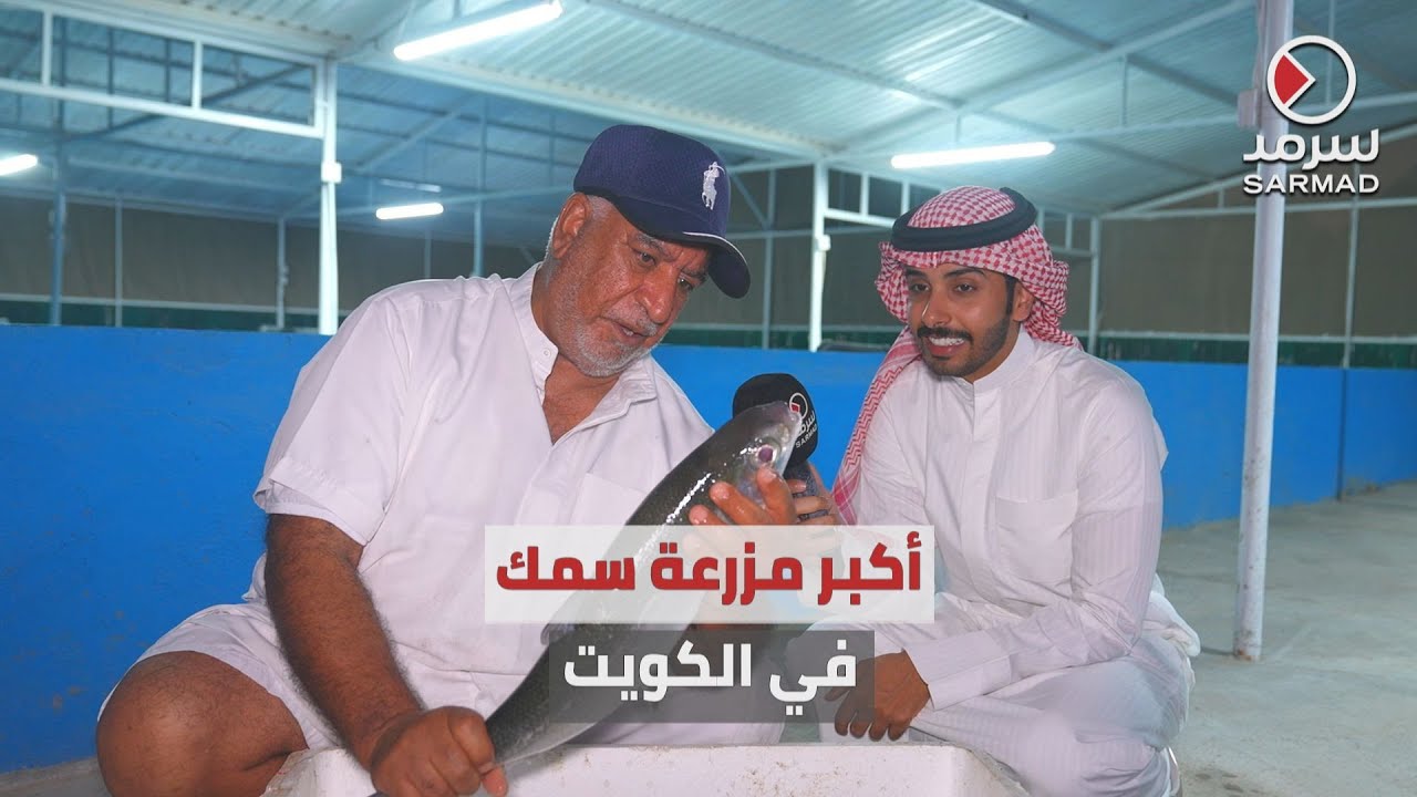 «سرمد» في جولة داخل أكبر مزرعة لاستزراع الأسماك في الكويت