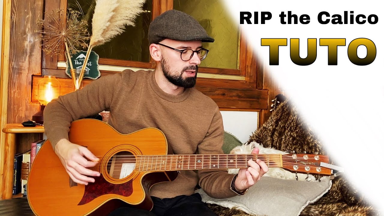 Tuto guitare folk:  rip the calico (reel joué en picking)