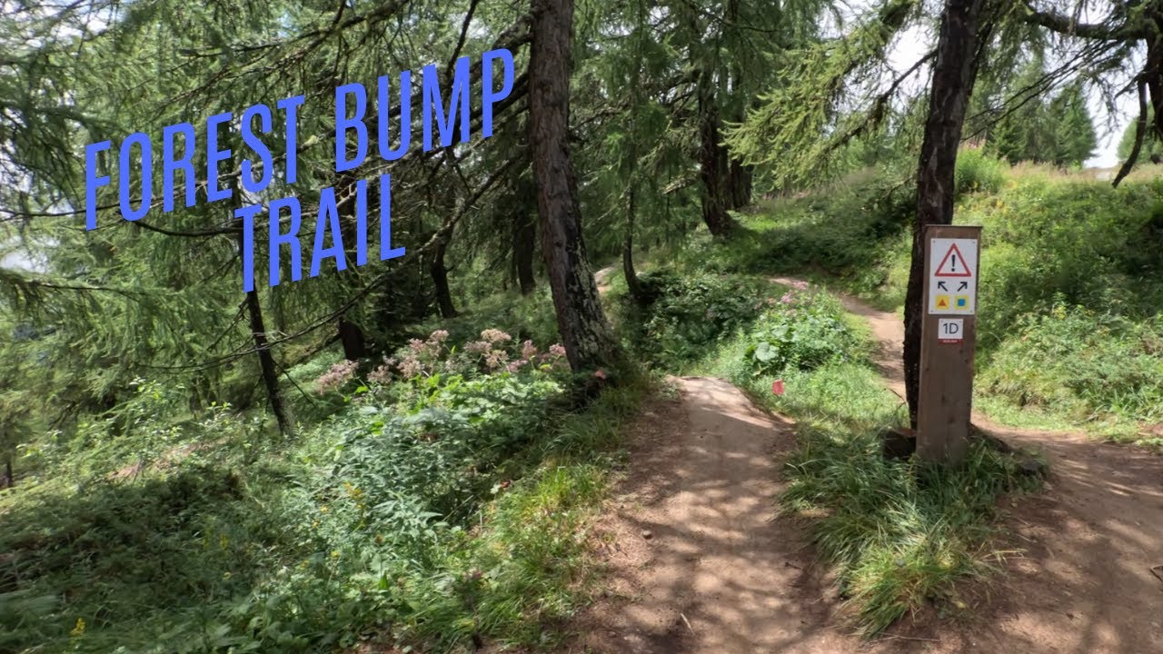 Forest Bump Trail im Bellwald