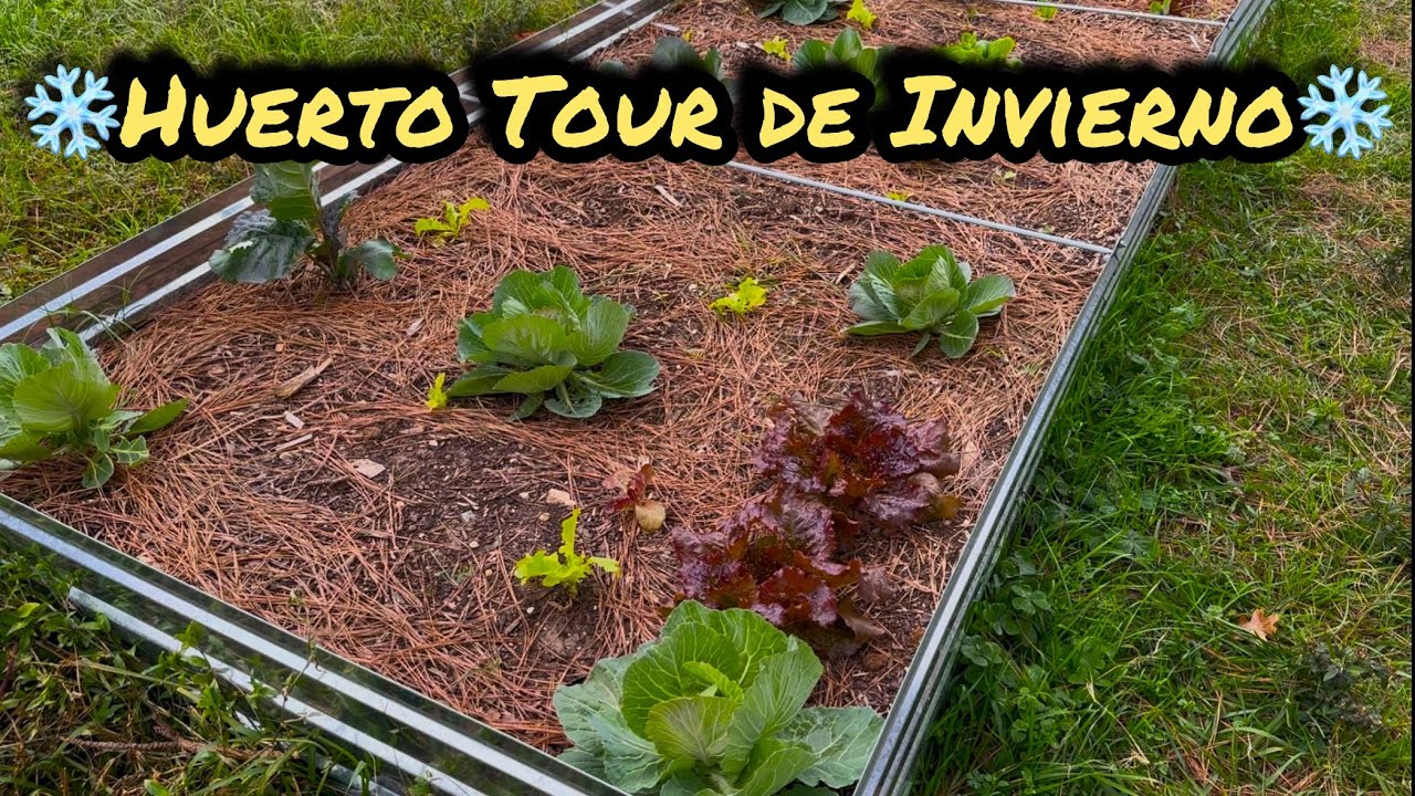Huerto Tour de Enero 