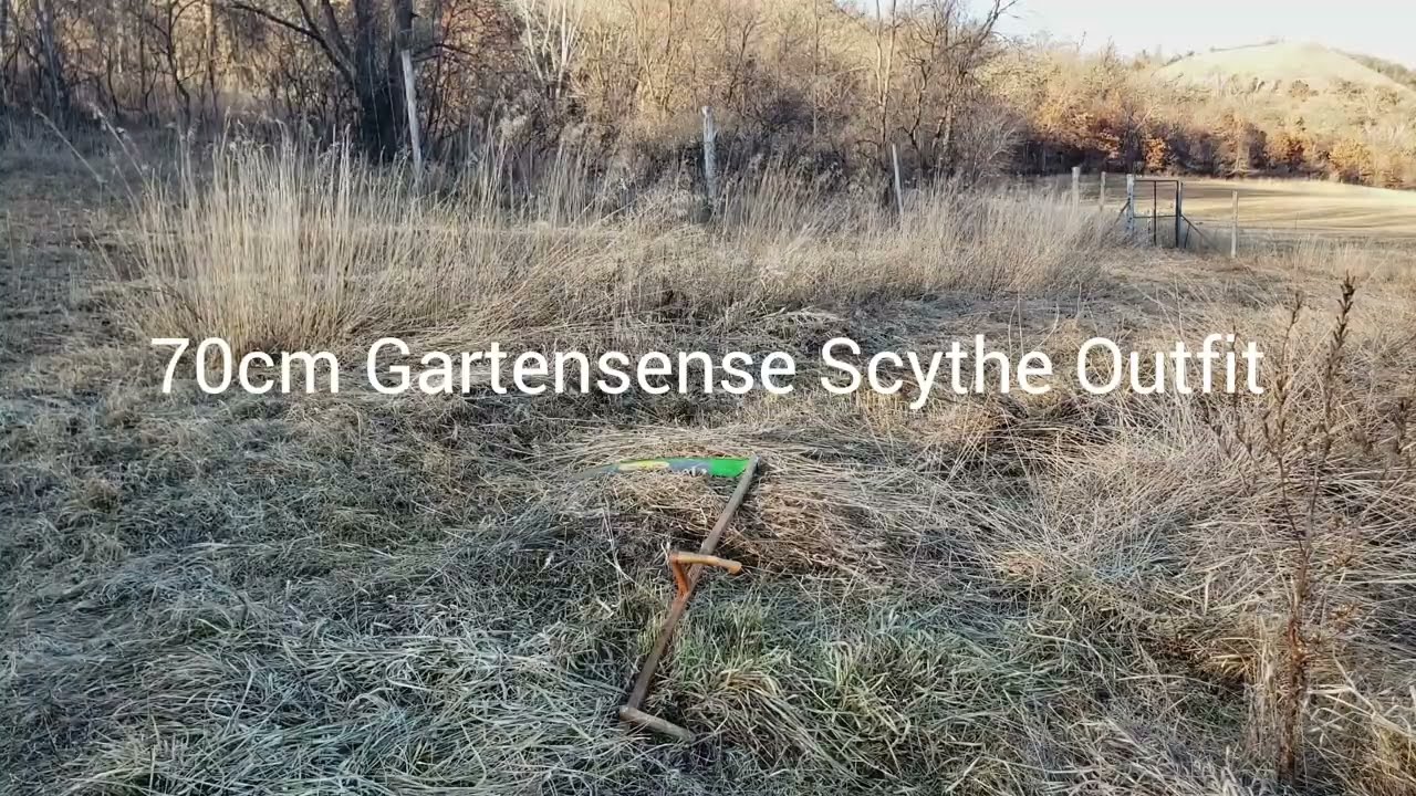 Scything During a Super El-Nino Winter