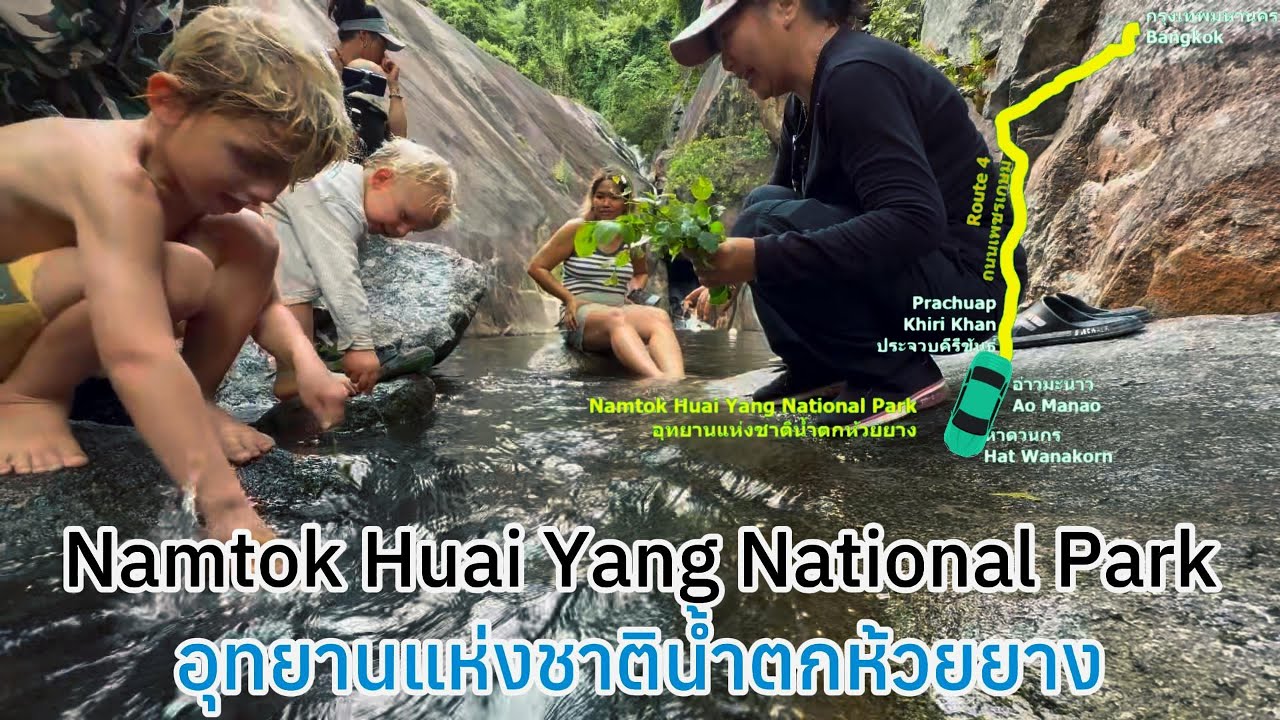 ชมฝูงปลาพลวง อุทยานแห่งชาติน้ำตกห้วยยาง (Ep.36, 2025-10-24 - Namtok Huai Yang National Park)