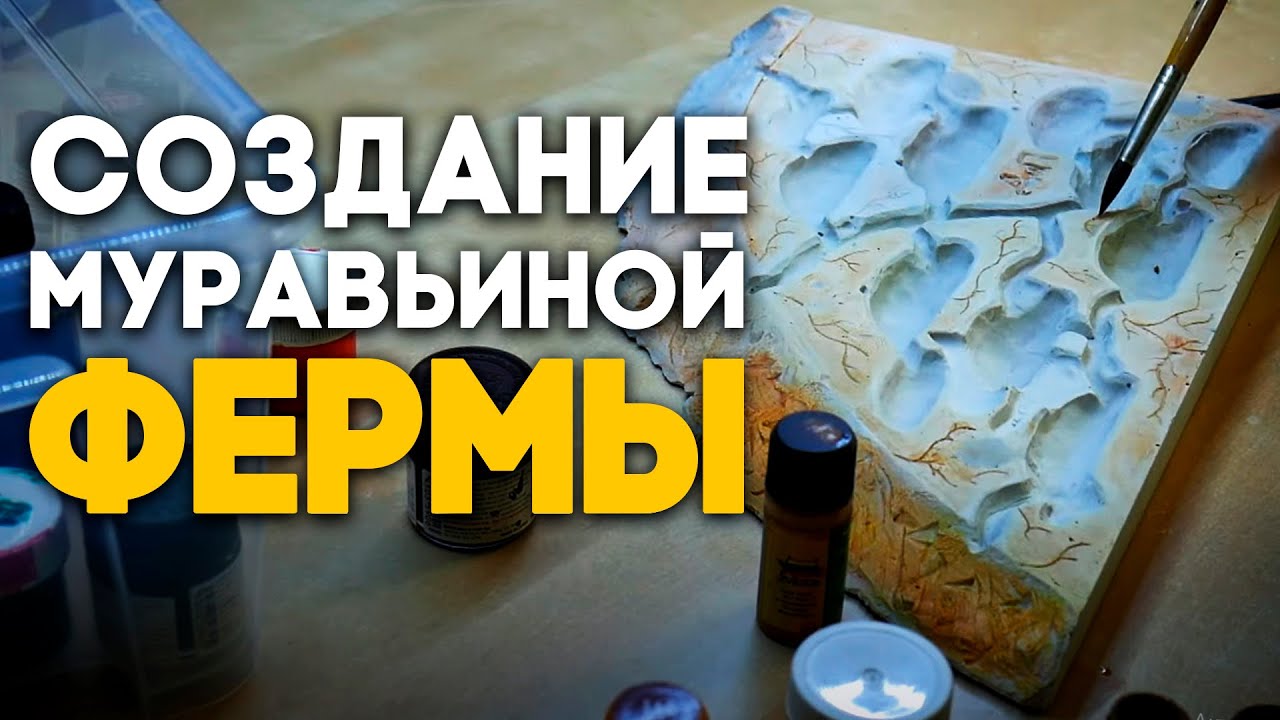 ДЕЛАЮ БОЛЬШУЮ МУРАВЬИНУЮ ФЕРМУ ДЛЯ КОЛОНИИ МУРАВЬЁВ ИЗ ИНДИИ! Как сделать формикарий? Димон и пумба