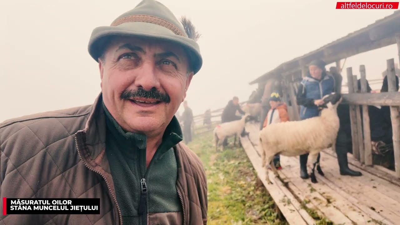 Măsuratul Oilor în Muncelul Jiețului