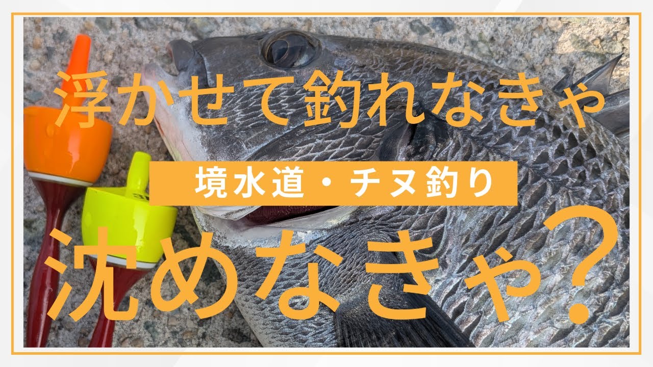 【フカセ釣り】なんとしてもボウズは避けたい！激流の境水道編