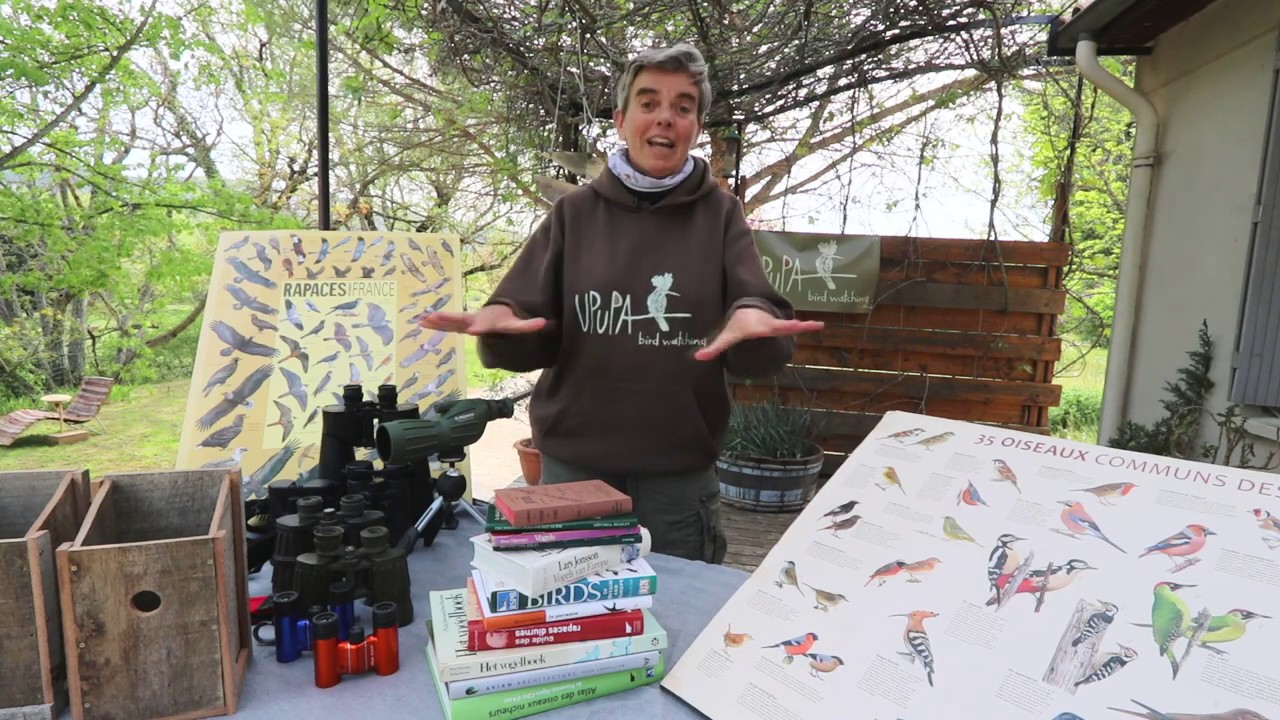 Hoe leer je vogels te herkennen