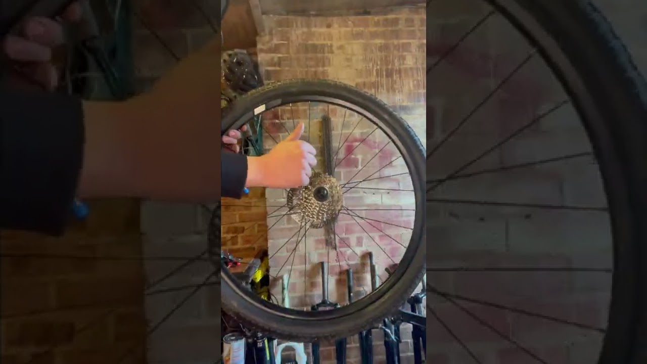 BIKE BUILD CARRERA VENGEANCE