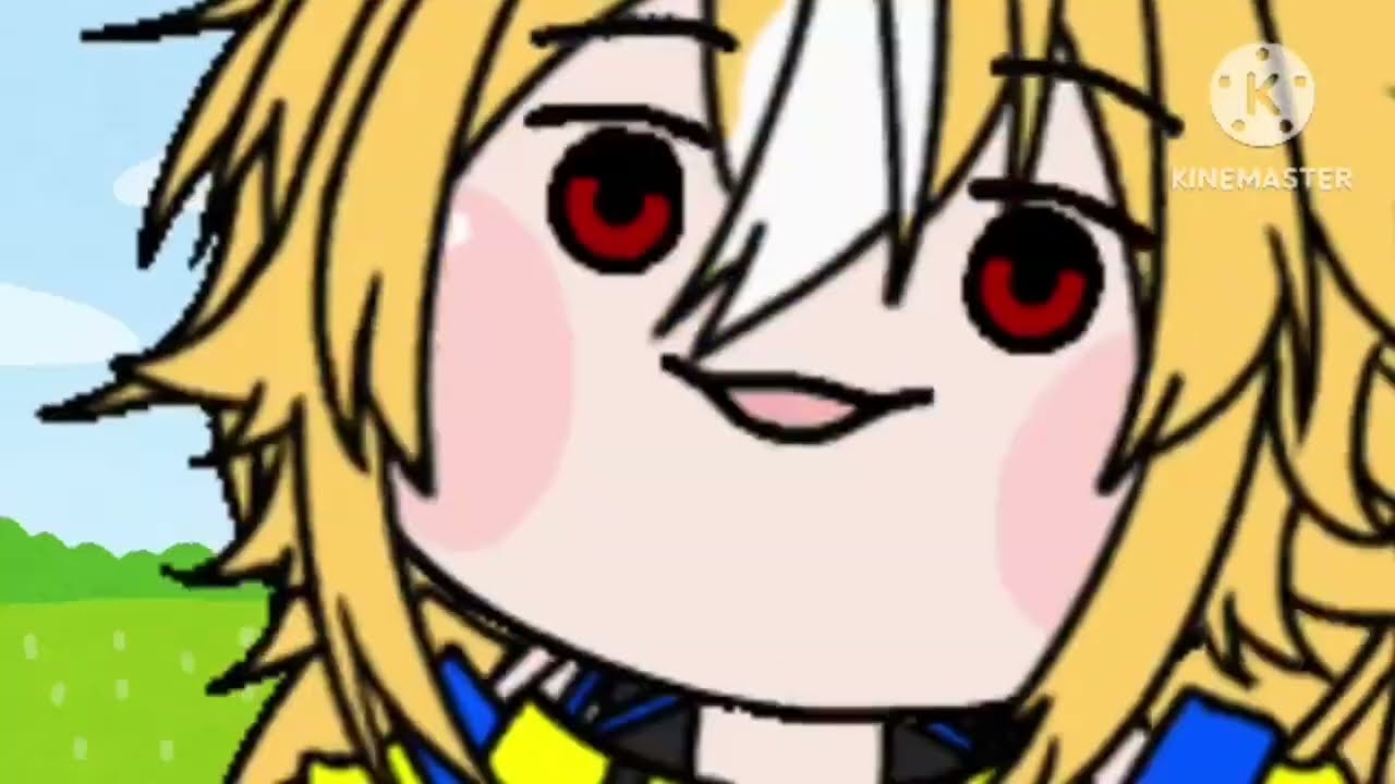 たぬき