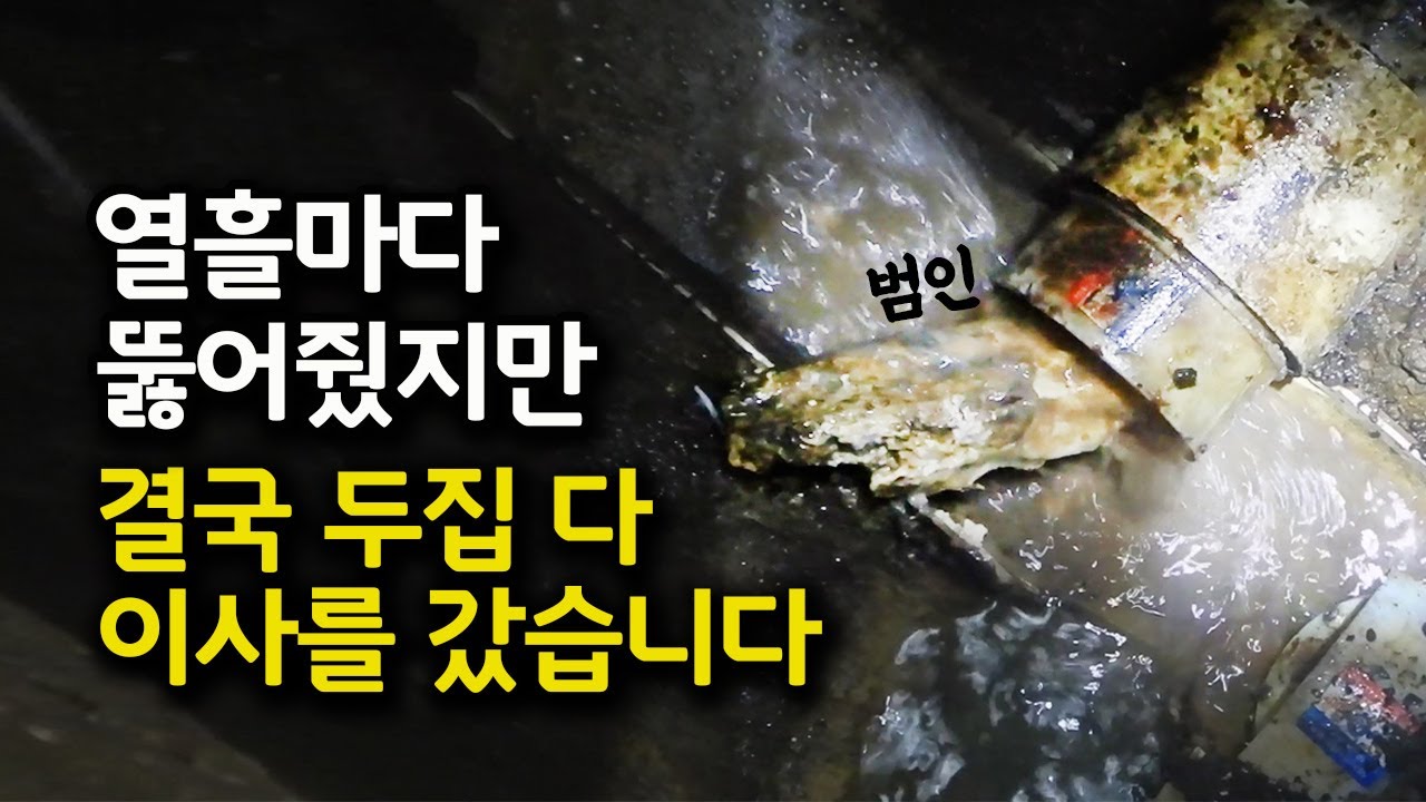 열흘마다 하수구가 막혀서 뚫어줬더니 결국....